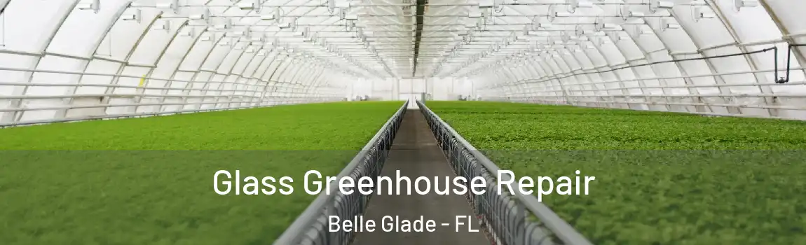  Glass Greenhouse Repair Belle Glade - FL