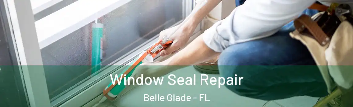  Window Seal Repair Belle Glade - FL